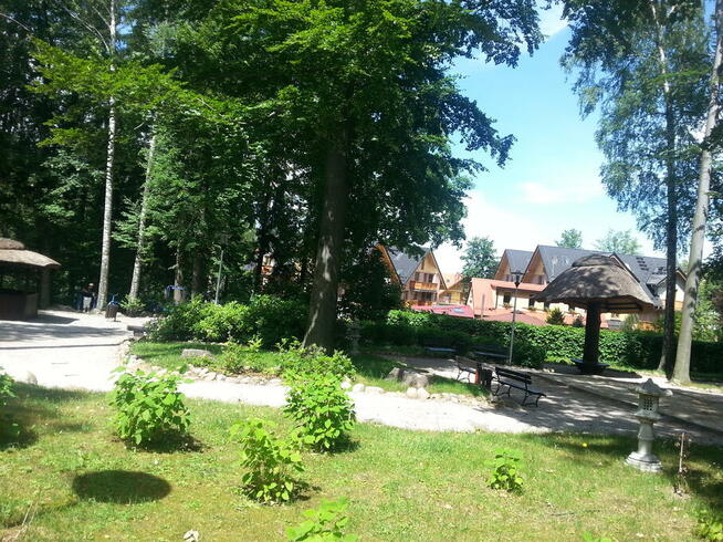 Wypoczynek, weekendy w Karpaczu