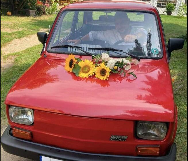 Akordeonista - Marsz / Biesiada / Rozrywka / Białystok