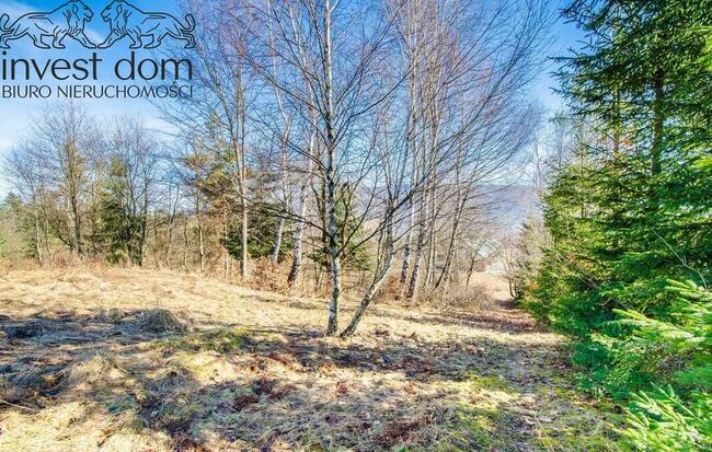 Działki budowlane w Wysowej Zdrój, of. 1328