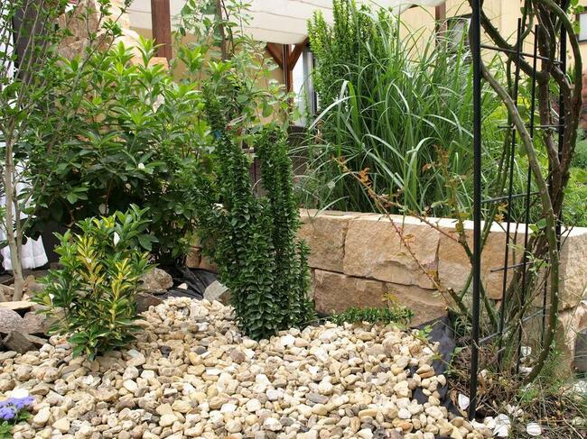 Murak kamień murowy cięty łupany 20x20x40 cm piaskowiec