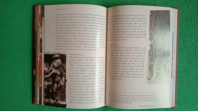 Kamasutra Lance Dane