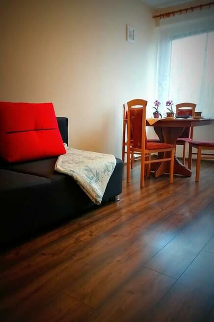 Wynajmę mieszkanie Płock Wielka Płyta