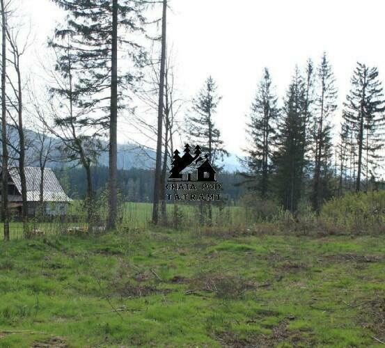 Działka w Kościelisku