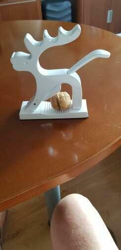 Jelonek do orzechów