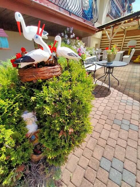 Weekend Majowy Pokoje gościnne Władysławowo -Cetniewo willa