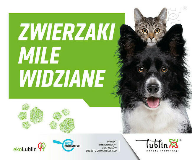 BETON B25 ALPOL LUBLIN WYLEWKA ATUT-BIS LUBLIN 25kg