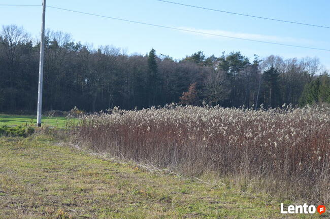 Działka * SPRZEDAŻ * Podleszany * 794 m2
