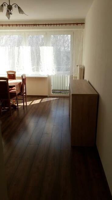 Wynajmę mieszkanie Płock Wielka Płyta