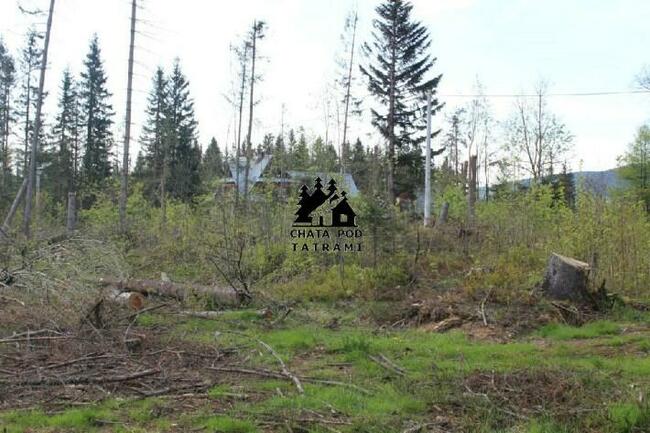 Działka w Kościelisku