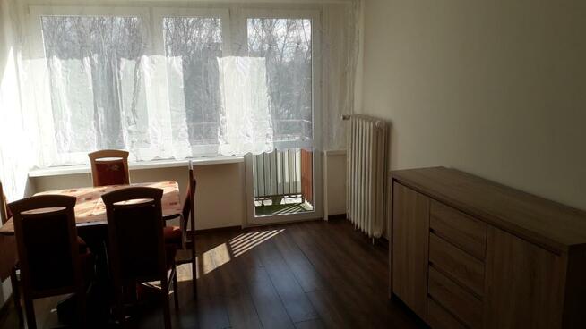 Wynajmę mieszkanie Płock Wielka Płyta