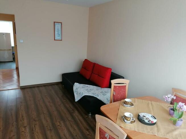 Wynajmę mieszkanie Płock Wielka Płyta