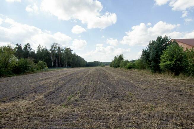 Działka budowlana Kamińsko gm. Przystajń,