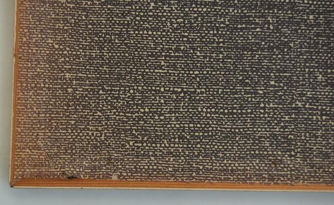 Papugi ptaki J. Gould chromolitografia antyk obraz