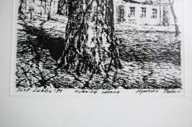 Drzewo, grafika czarno-biała, Agnieszka Paluch 1994 r.
