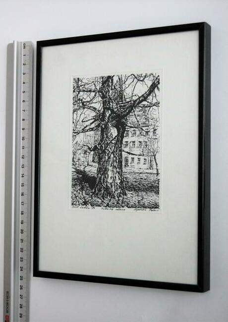 Drzewo, grafika czarno-biała, Agnieszka Paluch 1994 r.