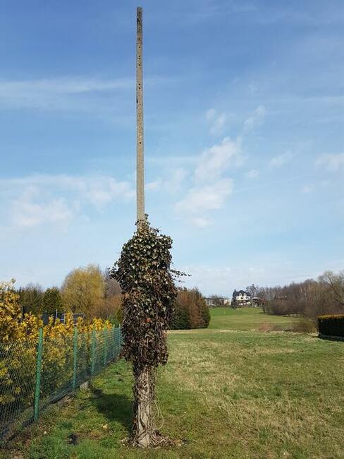 Słup energetyczny – żelbetonowy !!!