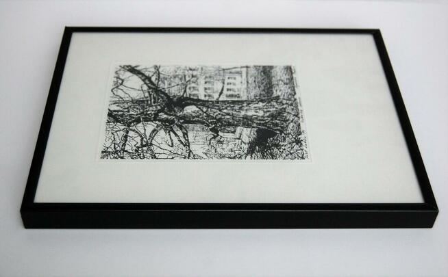 Drzewo, grafika czarno-biała, Agnieszka Paluch 1994 r.