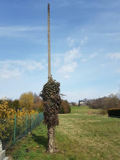 Słup energetyczny – żelbetonowy !!!