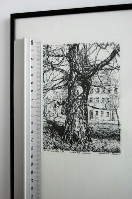 Drzewo, grafika czarno-biała, Agnieszka Paluch 1994 r.