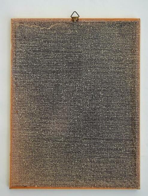 Papugi ptaki J. Gould chromolitografia antyk obraz