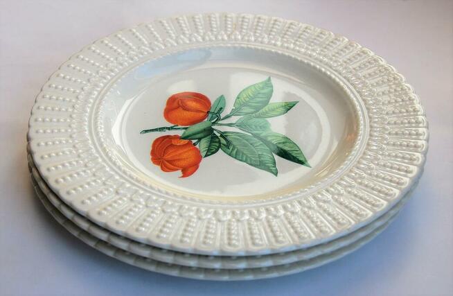 Talerze botaniczne vintage, Royal Cauldon, Anglia, kamionka