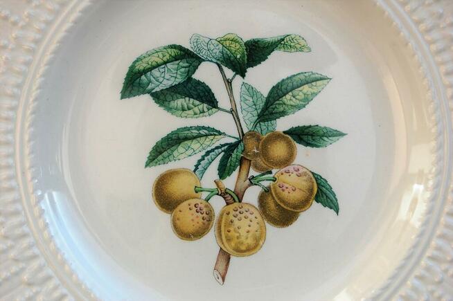 Talerze botaniczne vintage, Royal Cauldon, Anglia, kamionka