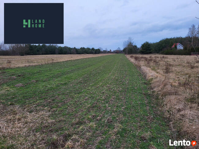 Działka rolna Sowia Wola Folwarczna gm. Czosnów,