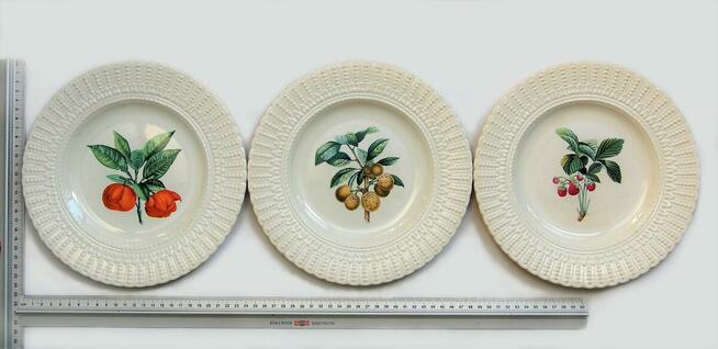 Talerze botaniczne vintage, Royal Cauldon, Anglia, kamionka