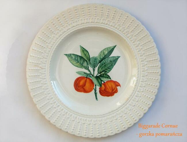 Talerze botaniczne vintage, Royal Cauldon, Anglia, kamionka