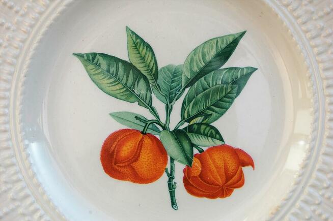 Talerze botaniczne vintage, Royal Cauldon, Anglia, kamionka