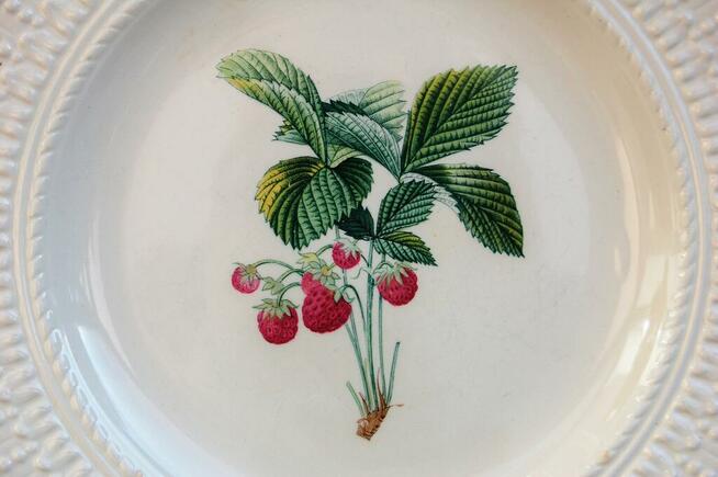 Talerze botaniczne vintage, Royal Cauldon, Anglia, kamionka
