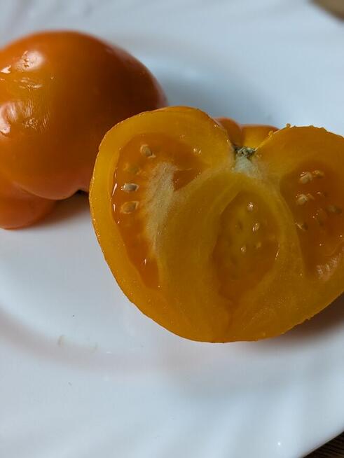 Czarna rzepa nasiona Eco kolekcjinerskie