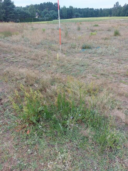 Sprzedam działkę nad jeziorem Łąkie szczekarzewo wólka