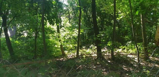 Działka budowlana . 2768m2, , Miedzeszyn Wawer, ul Prasowa