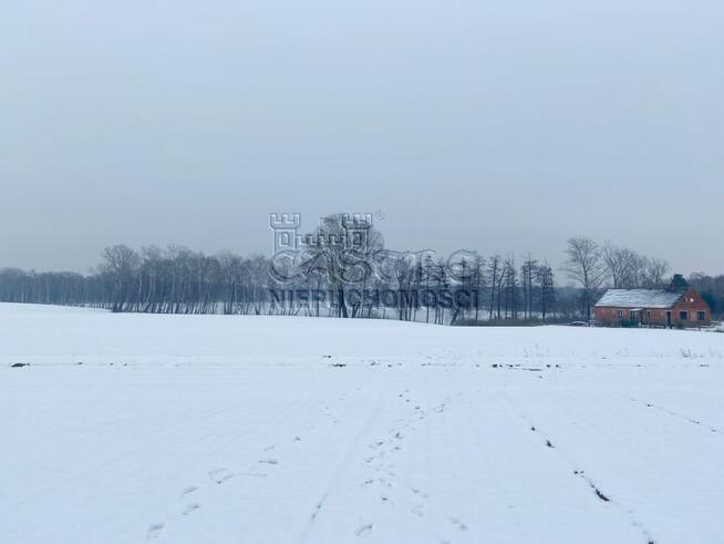 Działka siedliskowa Głodowo gm. Golina,