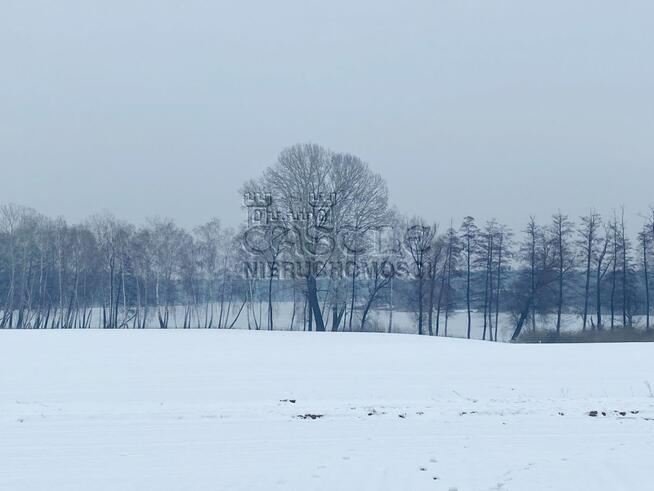 Działka siedliskowa Głodowo gm. Golina,