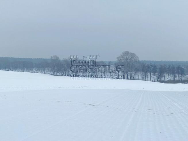Działka siedliskowa Głodowo gm. Golina,