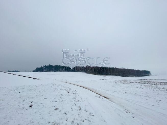 Działka siedliskowa Głodowo gm. Golina,