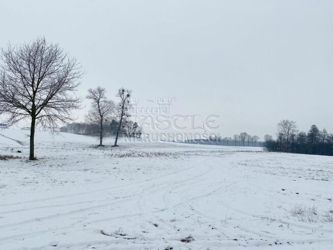 Działka siedliskowa Głodowo gm. Golina,