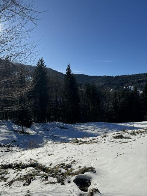 Masaże klasyczne relaksacyjne tajski lomi lomi