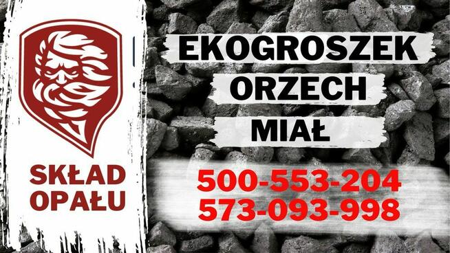 Polski Węgiel Ekogroszek/orzech Wesoła-Mysłowice