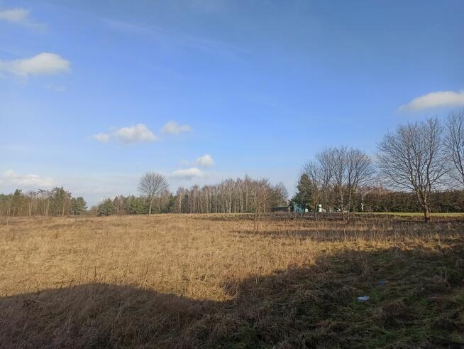 sprzedam działki z warunkami zabudowy