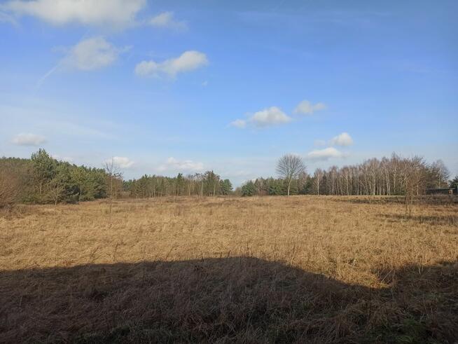 sprzedam działki z warunkami zabudowy