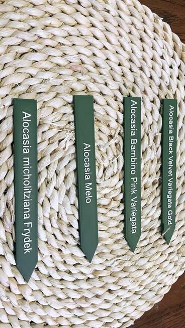 druk 3d skan 3d Warszawa i wysyłka