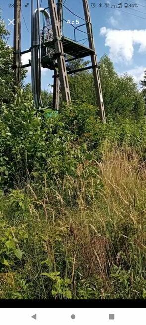 Działka na skraju puszczy białowieskiej