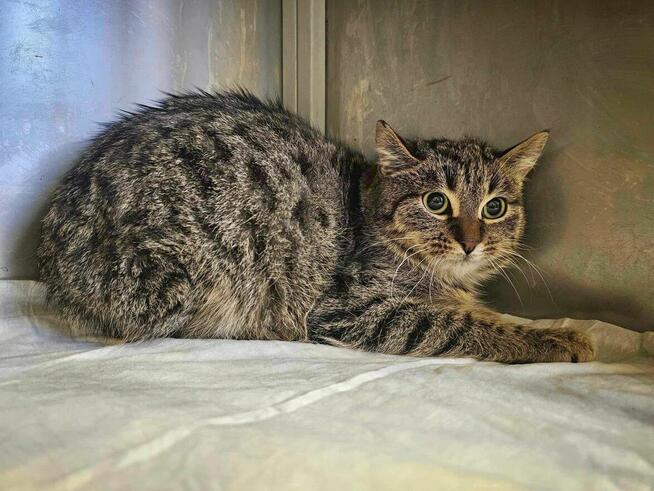 Alarm!! blagam o dom dla tych maluchów i ich mamy, DT u Magdy