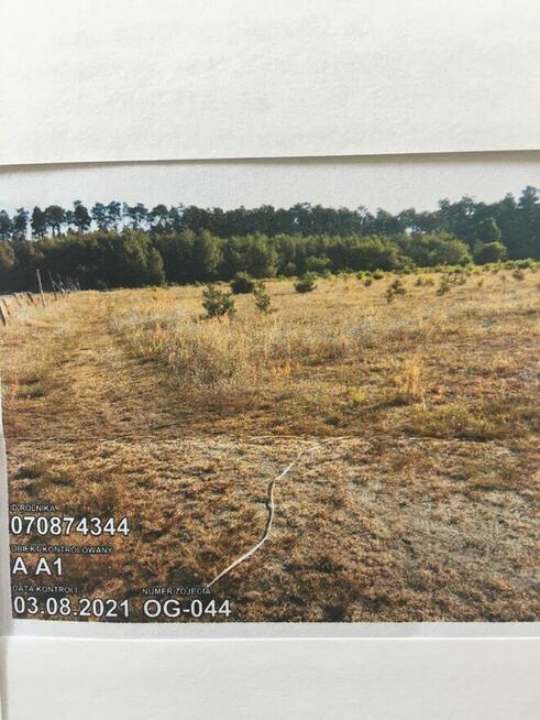 Działka budowlana koło Goleniowa na sprzedaż
