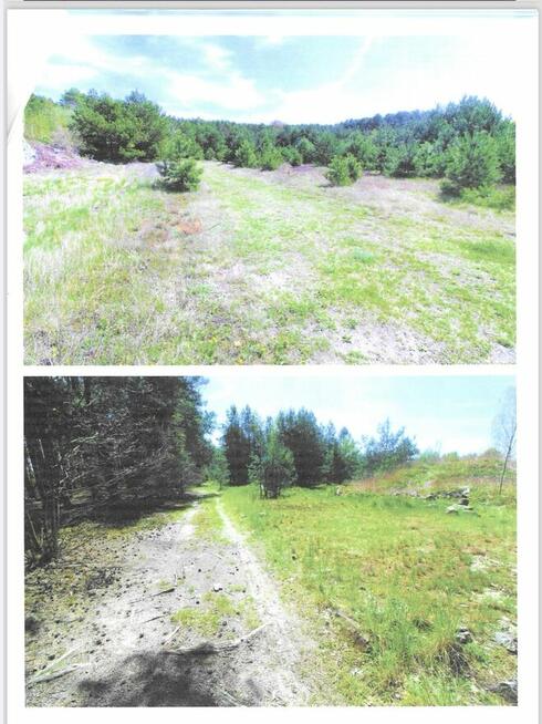 Nieruchomośc Działka w Nowej Soli