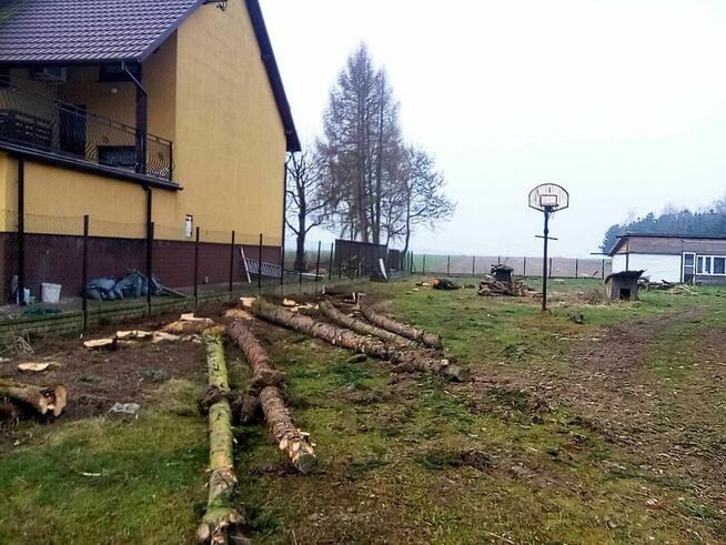 Żerdzie, świerkowe zdrowe dł. 8m gr. dołem 25-30 cm szt. 20