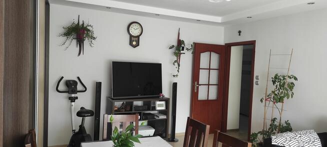 Mieszkanie 2 pokojowe na ul. Krzywoustego oś. Tysiąclecia